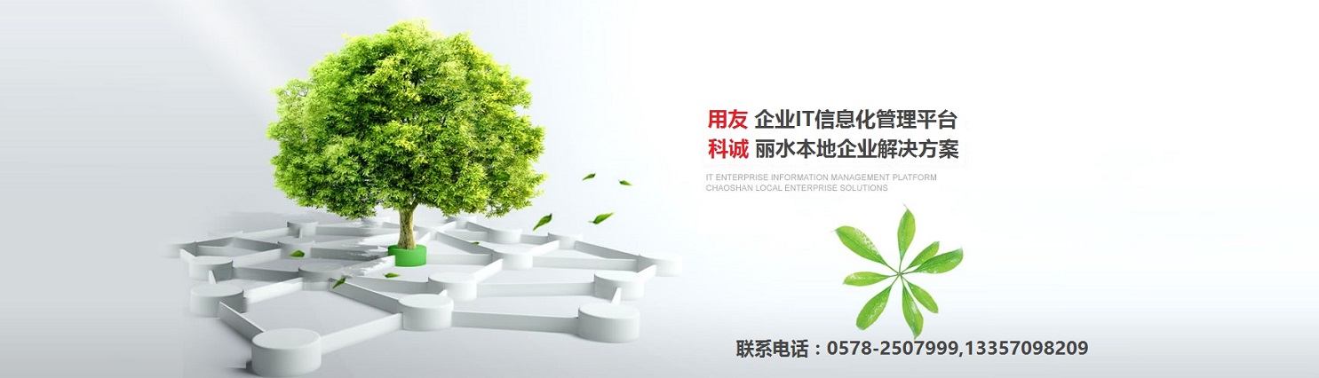 <strong>麗水科誠信息</strong>